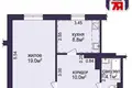 Wohnung 1 zimmer 42 m² Radaschkowitschy, Belarus