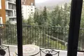 1 bedroom apartment for rent in central Tbilisi