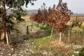 Land  Khoni, Georgia