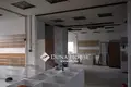Gewerbefläche 437 m² Kreis Szolnok, Ungarn
