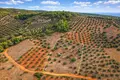Parcelas 5 035 m² Neos Marmaras, Grecia