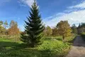Land 2 401 m² Salaspils pagasts, Latvia