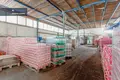 Коммерческое помещение 1 000 м² в Parudaminys, Литва