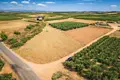 Land 3 500 m² Nea Triglia, Greece