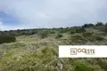 Parcelas  Opcina Dezanovac, Croacia