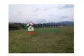 Propiedad comercial 10 000 m² en Varvara, Bulgaria