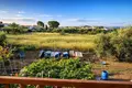 Land 22 000 m² Nea Triglia, Greece
