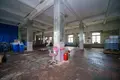Manufacture 729 m² in Stankava, Belarus