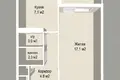 Apartamento 1 habitación 33 m² Minsk, Belarús