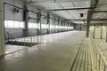 Warehouse 16 441 m² in Domodedovo, Russia
