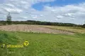 Maison 49 m² Ejhierdauski sielski Saviet, Bélarus