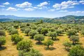 Land 9 312 m² Neos Marmaras, Greece