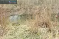 Atterrir  Karsunalaukis, Lituanie