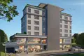 Wohnung 1 zimmer 224 m² Basaksehir, Türkei