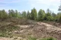 Land  Breckiai, Lithuania
