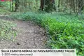 Land  Vilnius, Lithuania