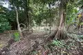 Parcelas  Tumbak Bayuh, Indonesia