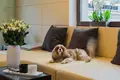 2 room apartment 81 m² Warsaw, Poland