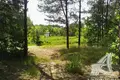 Земельные участки  Знаменский сельский Совет, Беларусь