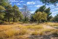 Земельные участки 15 000 м² Неос-Мармарас, Греция