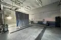 Gewerbefläche 195 m² Minsk, Belarus