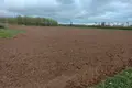 Grundstück  Babinicki sielski Saviet, Belarus
