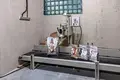 Коммерческое помещение 716 м² Будагово, Беларусь