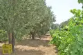 Parcelas 1 habitación 3 000 m² Afrati, Grecia