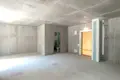 Wohnung 1 zimmer 48 m² Minsk, Belarus