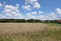 Grundstück 759 m² Rybojedzko, Polen