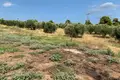Земельные участки 1 комната  Ватопеди, Греция