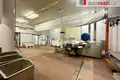 Commercial property 22 351 m² in Pravetin, Czech Republic