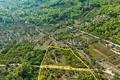 Parcelas 8 846 m² Opcina Vela Luka, Croacia
