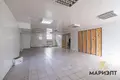 Manufacture 283 m² in Minsk, Belarus
