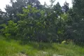 Atterrir 1 460 m² Rogalinek, Pologne
