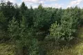 Działki  Dzimtmisa, Łotwa