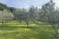Land 4 260 m² Punta Kriza, Croatia