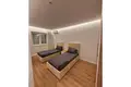 Apartment for Rent (2+1), City Center, Tirana    80,000 Lek