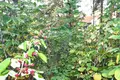 1 room apartment 28 m² Cysc, Belarus