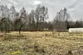 Dom 73 m² Putcynski sielski Saviet, Białoruś