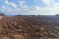 Atterrir  Mandria, Chypre