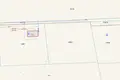 Atterrir 4 042 m² Nieslabin, Pologne