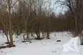 Коммерческое помещение  Ракитницкий сельский Совет, Беларусь
