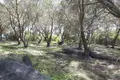 Земельные участки 1 комната  Виталадес, Греция