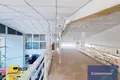Склад 1 216 м² Аликанте, Испания