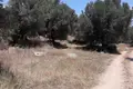 Atterrir 1 chambre  Nikiti, Grèce