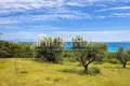 Land 6 000 m² Vatopedi, Greece