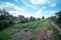 Дом 51 м² Голоцкий сельский Совет, Беларусь