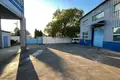 Gewerbefläche 2 244 m² Nowa Dofiniwka, Ukraine