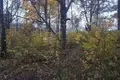 Parcelas  Odincovskij gorodskoj okrug, Rusia